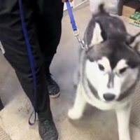 いよいよ飼い主さんの元に！