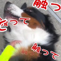 一番好きなのはママ♡
