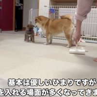 そこにはいつもママが…
