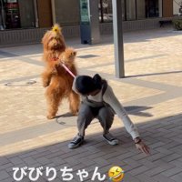 「絶対に行きたくない！」