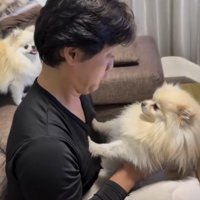 体を反らして人と距離を保つ犬