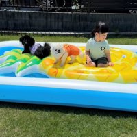 ビニールプールの上で遊ぶ犬と女の子