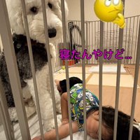 「どうしてここで寝ているの？」