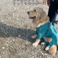 オフ会にきたら…