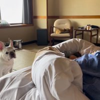アピールに気づかないお父さん