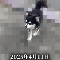 家の近くで出会ったわんこ