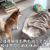 花子ちゃんも心配そう