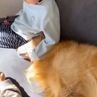 ひなたぼっこするゴールデンレトリバーと2人の子どもたち