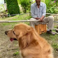 「よかった、違うみたい…」