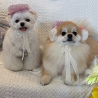 仲良し