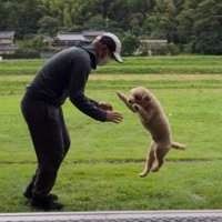 雨上がり