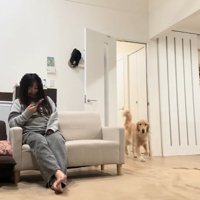 ハナコちゃんとお姉ちゃんの再会2