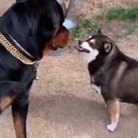 「え？なに…」