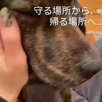 とっても幸せそう！