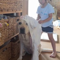 「おめかしもしてあげる♡」