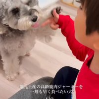 もなかちゃんの成長7