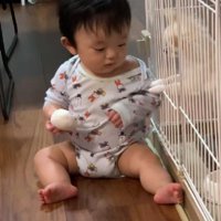 おもちゃが欲しい…