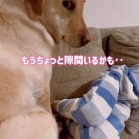 狭そうなダッフィーちゃん