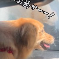 「またお前か！」