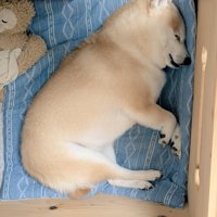 ギャップ