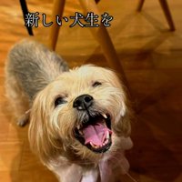 笑顔のまるるちゃん