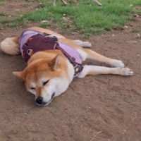 まさかの爆睡！？