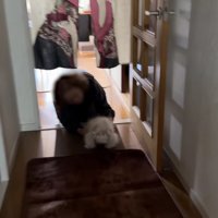 感動の再会に心温まる…