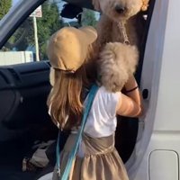車から降りるのも…