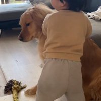 諦め顔のピノくん