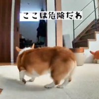 ここにいると危ないかも