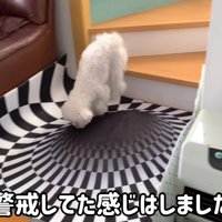 ちょっぴり気にした？