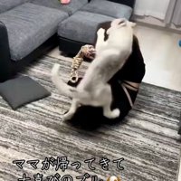 また倒されるママ