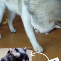 この習慣は欠かせません