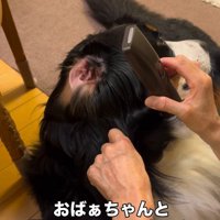 しっかりお話を聞いています