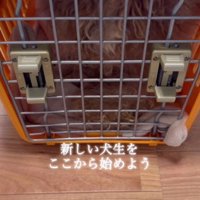 これから新しい犬生を始めよう