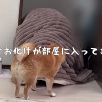 片付けおばけが出現！？