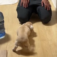 パパへの愛を隠せない