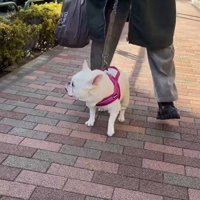 リード役を交代してみたら？