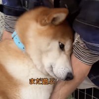帰宅に不満げ！