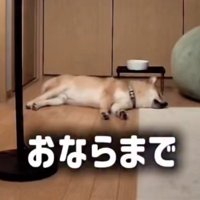 ZZZ…