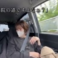 後部座席で飼い主を見る犬