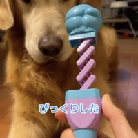 「なんじゃこりゃ」