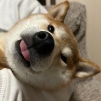 いそべ君の日常3