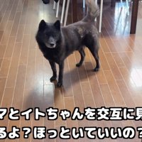 「泣いてるけど大丈夫…？」