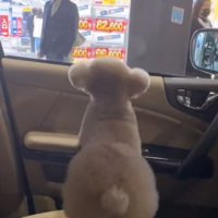 窓の外から見つめる男性