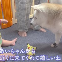 先輩として優しく接します