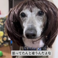 思ってたのと違う…！？