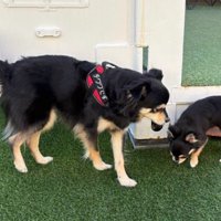 脳がバグを起こしそう！