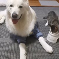 ご飯の見守りも任せて！