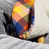 隠れながらチラ見♡